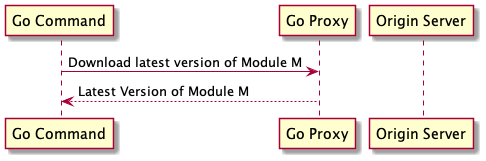 Go Module Proxies Practical Go Lessons